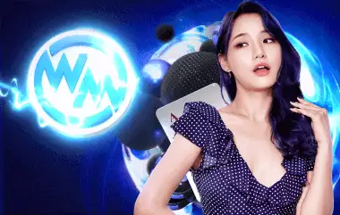 wm_ani